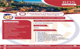 Caucasus International University