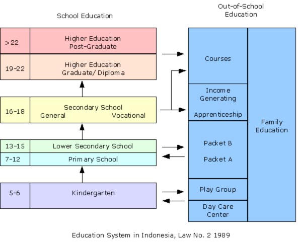 Education in the usa схема