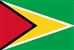 guyana_flag.jpg