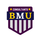 BMU Consultants