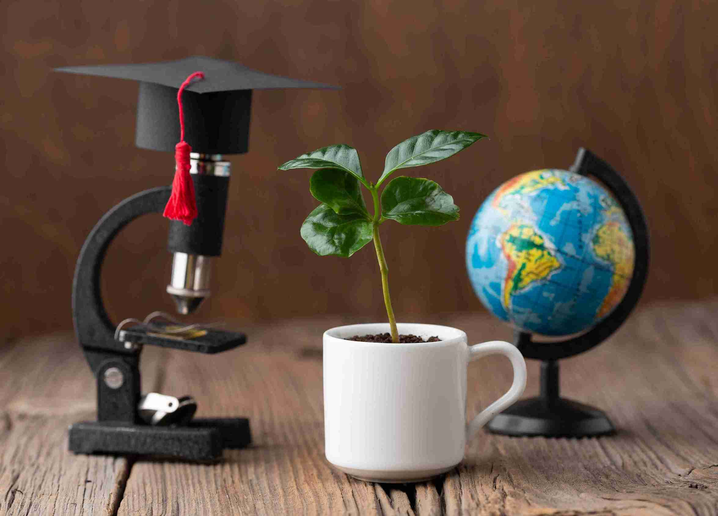 Commonwealth Master’s & PhD Scholarships 2025/26