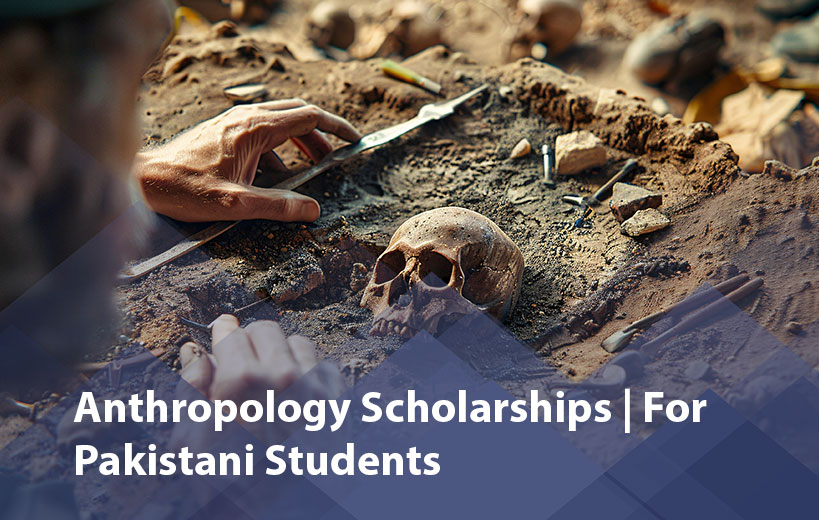 Scholarship Image