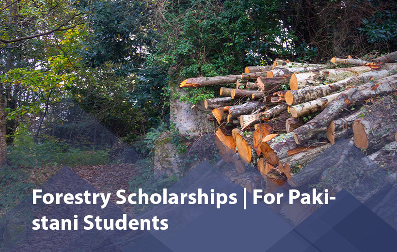 Scholarship Image