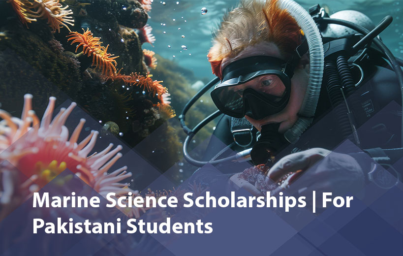 Scholarship Image